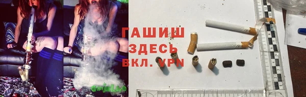 гидра Аркадак