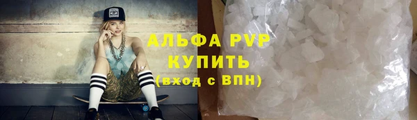 сатива Армянск