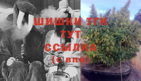 амф Арсеньев